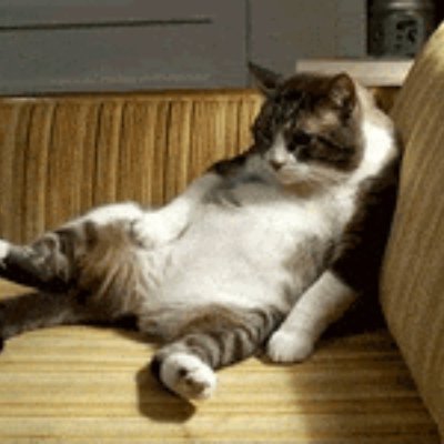 Ray Ray Is Chillin Profile