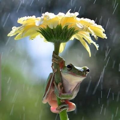 JoKloehn's profile picture. Alaskan housewife