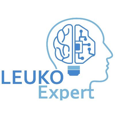 Das Verbundprojekt Leuko-Expert entwirft mithilfe von KI Methoden ein Modell zur Diagnoseunterstützung bei Seltenen Erkrankungen am Bsp. der Leukodystrophie.