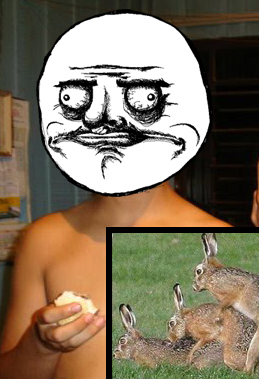 h4x0rsL4b's profile picture. 