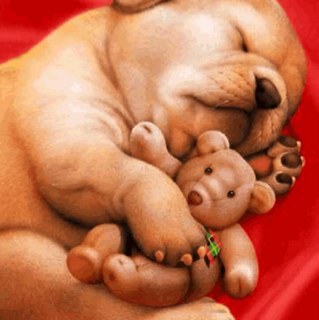 I just love life with my furry friends, great music, books and time to myself.