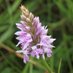 Grimsargh Wetlands (@grimsarghwt) Twitter profile photo Grimsargh Wetlands (@grimsarghwt) Twitter profile photo