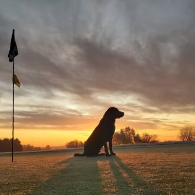 Head Greenkeeper at Ravenmeadow Golf Course, volunteered 150th Open at St Andrews, volunteered Wentworth,Elmwood College,