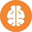 Stichting Hersenstimulatie - Dutch-Flemish Brain Stimulation Foundation: Neuromodulation (rTMS, tDCS, tACS) in psychiatry