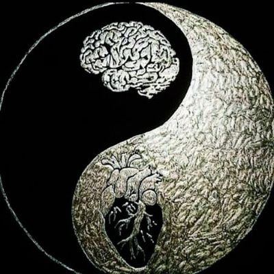 دانیالさんのプロフィール画像