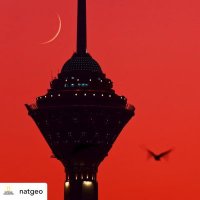غریب آشنا (@ghareebe_ashena) 's Twitter Profile