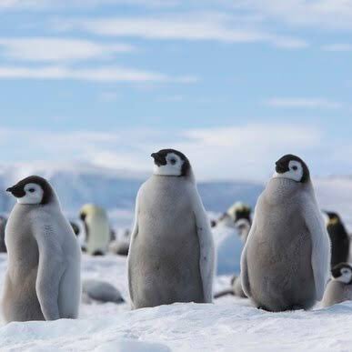 fg_qj9's profile picture. 平和に暮らしたい