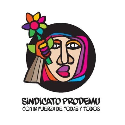 Cuenta Oficial
Sindicato Nacional de la Fundación para el Desarrollo y Promoción de la Mujer