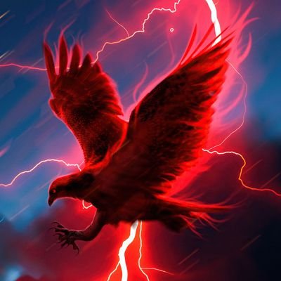 LFC supporter
