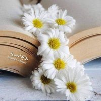 روائع أدبــــــية☘ (@rawai3_adabiya) 's Twitter Profile Photo روائع أدبــــــية☘ (@rawai3_adabiya) 's Twitter Profile Photo