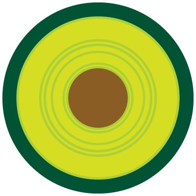 @avocadocongress