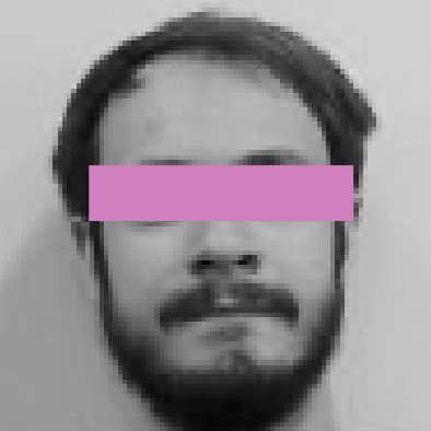 flonotation's profile picture. interested in literature & statistics