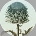 recuero&co (@recueroandco) Twitter profile photo recuero&co (@recueroandco) Twitter profile photo