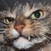 Moody_Badger (@sleepyj72488795) Twitter profile photo Moody_Badger (@sleepyj72488795) Twitter profile photo
