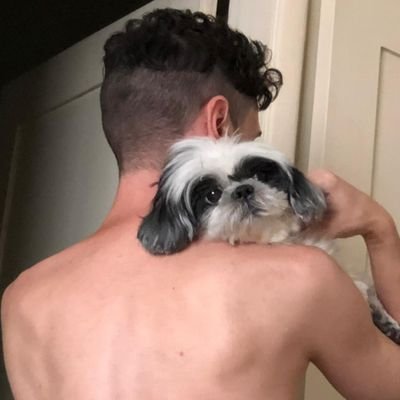 RodrigoPreste's profile picture. 🔴⚫ 🇧🇷🇵🇸