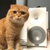 bunshirohote (@bunshirohote) Twitter profile photo bunshirohote (@bunshirohote) Twitter profile photo