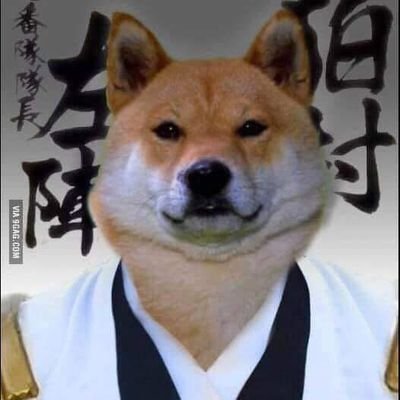 _supdoc's profile picture. rant account