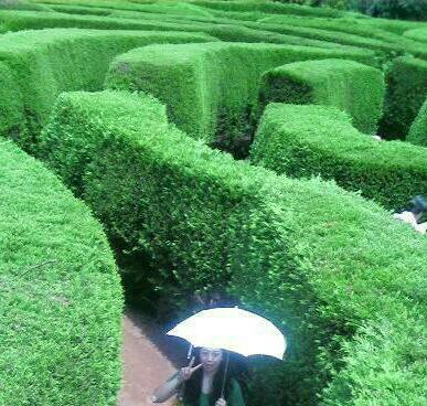 ssun605's profile picture. 