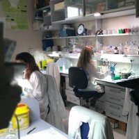 Zoovir (@zoovir3) 's Twitter Profile