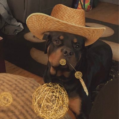 _paigeaddisonn's profile picture. 