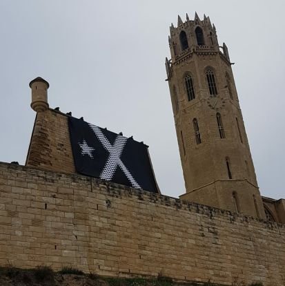 jsalmerondol's profile picture. 