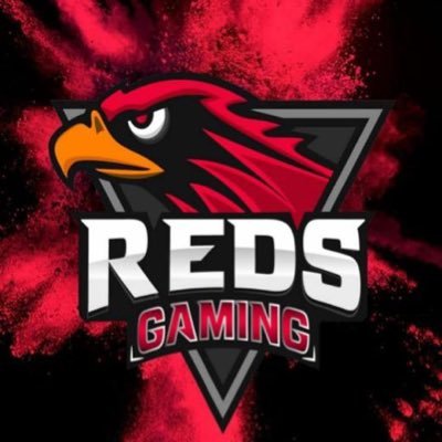 Equipo de SimRacing dentro de la estructura de Reds Gaming E.C @RedsGaming_ESP #GoReds 🔴🦅