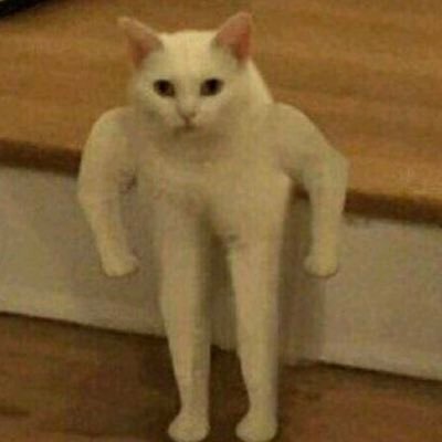 sabbott55's profile picture. Boiler Up