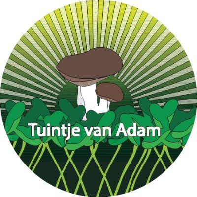 Stadsboerderij Amsterdam
Groeien van Microgreens 🌱 & Gourmet Paddenstoelen 🍄
Urban farm Amsterdam
Growing Microgreens 🌱 & Gourmet Mushrooms 🍄