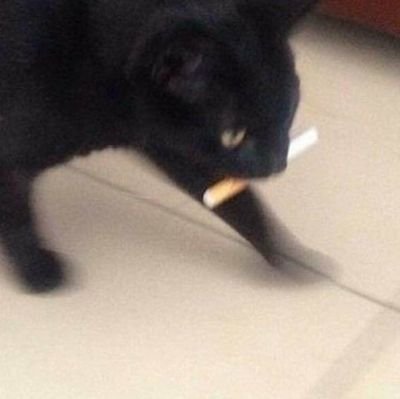 viejas_mata's profile picture. hola