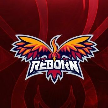 Reborn Esports