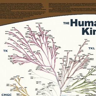 Twitter feed for tyrosine #kinase papers from PubMed. Bot run by @MissYKinase