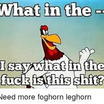 MS49992780's profile picture. 