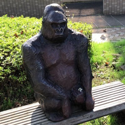 uragoli's profile picture. ntr