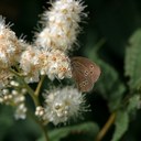 Carsten Nilsson - @Carsten_Nilsson - Twitter