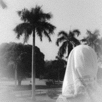 ayeshasSID's profile picture. HORIZINITE | IRWINITE