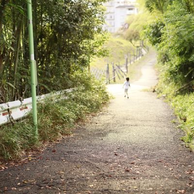 fulufuluf's profile picture. 情報収集垢
怖いもの見たさが勝つ