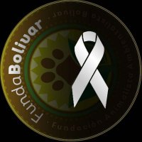 FundaBolivar Oficial #FundaBolivar :. (@fundabolivar_ve) 's Twitter Profile