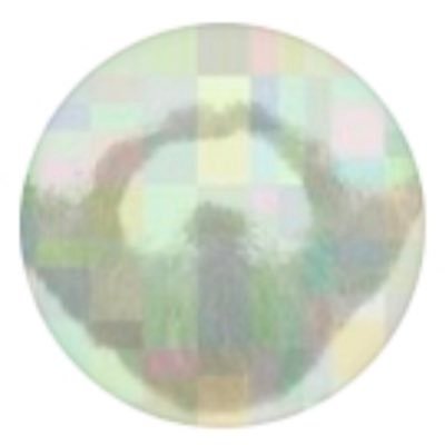 BeardRider2's profile picture. 🇺🇸 Trump 2024 #MAGA