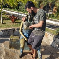 Andre Filipi (@andreyy32) 's Twitter Profile