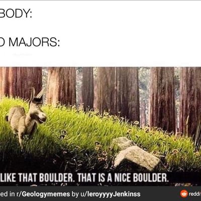 phlipi31's profile picture. 