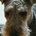 Mark Greaves (@markganchor) Twitter profile photo Mark Greaves (@markganchor) Twitter profile photo