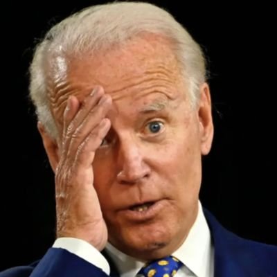 Joementia_Biden's profile picture. **Parody Account**