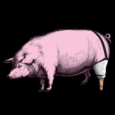 PegLegPorker Profile Picture