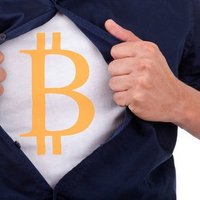 BTC KIWI 🥶 (@sealkiwi) 's Twitter Profile Photo