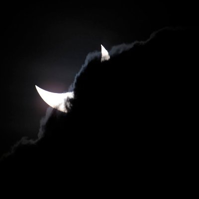 budulaichik's profile picture. 