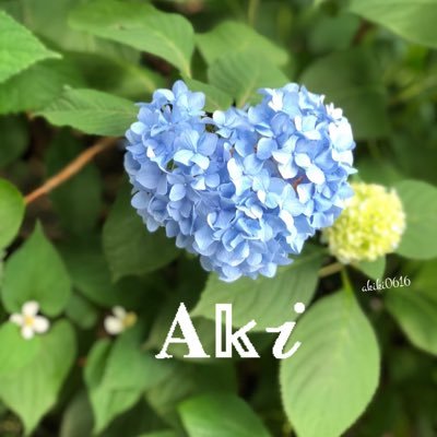 𝐀𝕜𝓲 ◡̈ ⁶ ¹ ⁶さんのプロフィール画像