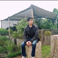 RobertoRight4 (@robertopomar4) 's Twitter Profile
