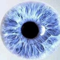King (@rajhjhee) 's Twitter Profile