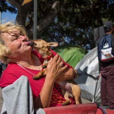 Support Bay Area Tent Dogs Today is a project assisting homeless dog owners who live in tents or outside on the streets with basic dog care packages monthly.
