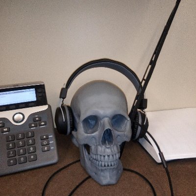 lazy_anatomist's profile picture. I rewrote my bio but didn't like the way it sounded. I might fix it someday. TW: suicide. she/her